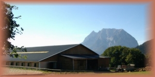 Der Jagerhauserhof in idyllischer Landschaft